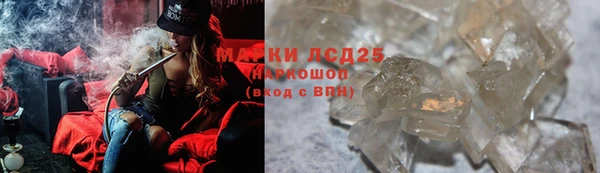 трава Аркадак