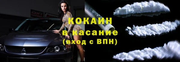 твердый Алексеевка