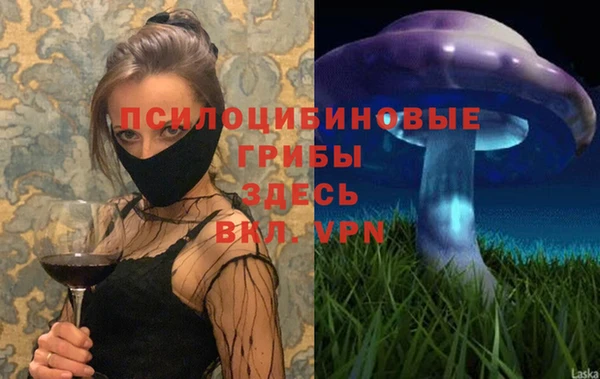трава Аркадак
