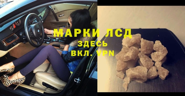 трава Аркадак