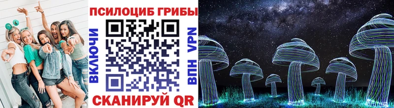 Псилоцибиновые грибы Cubensis  Лахденпохья 
